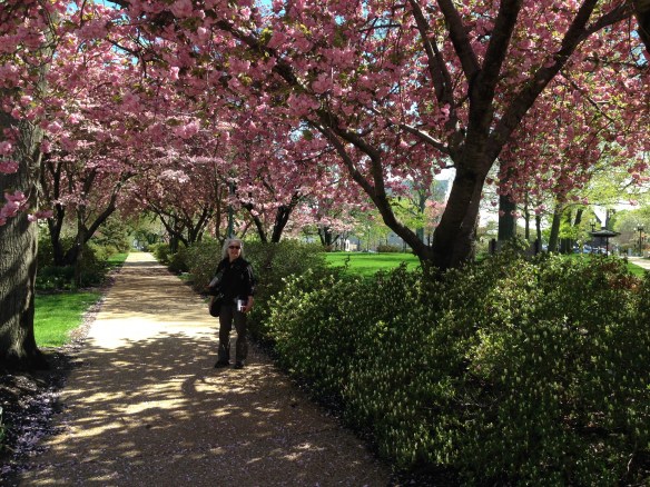 En chemin vers le Capitole